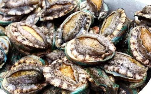 国产视频到粉发鲍鱼