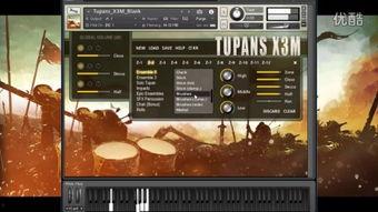 国产pans内部视频,技术突破与未来展望