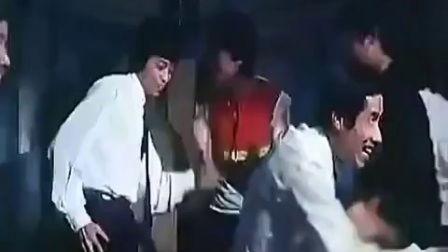 国产全视频在线观看视频,在线观看新体验