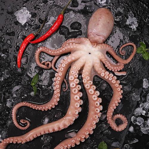 国产长腿章鱼视频