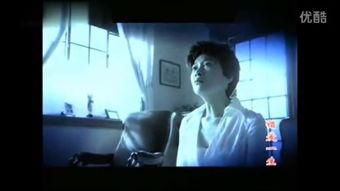 国产成人精彩对白视频,激情四溢，情感交织